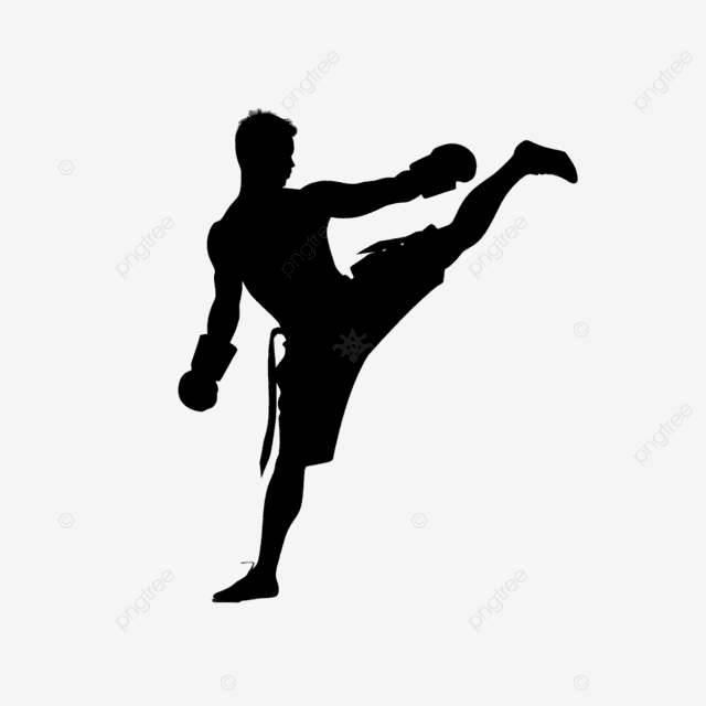 Combat sports training