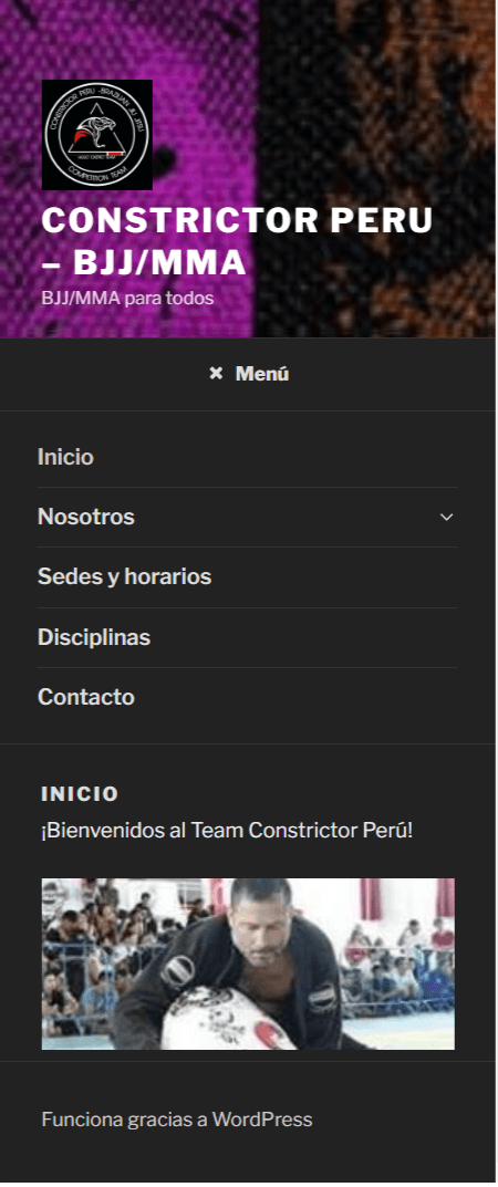 Vista previa del proyecto: Academia Constrictor Demo